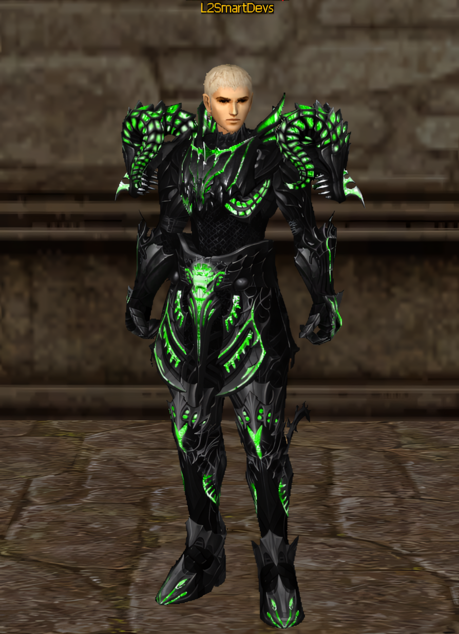 Armadura 14